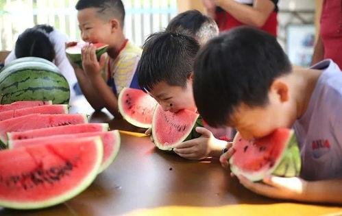 伍姑娘吃瓜,揭秘娱乐圈幕后故事