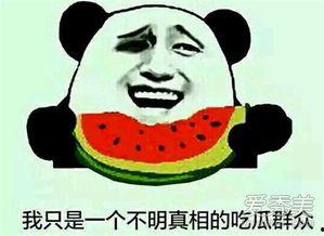 吃瓜都要去哪里吃,揭秘各大热门“瓜园”
