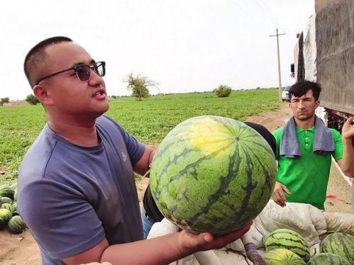 每日吃瓜合集,盘点娱乐圈新鲜事，揭秘幕后真相