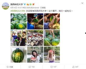 各大高校吃瓜网址,揭秘各大高校吃瓜网址背后的故事