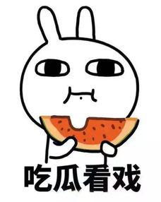 吃瓜跌落结局,一场意外的结局引发的热议风暴