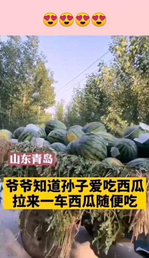 孙子爷爷吃瓜区别