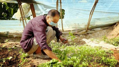 伊犁疫情吃瓜,吃瓜群众视角下的防疫战