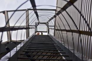 趴大仓楼顶吃瓜,趴大仓楼顶的独特食趣体验