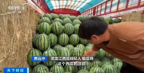 vx吃瓜中转站,热门话题背后的真相与内幕